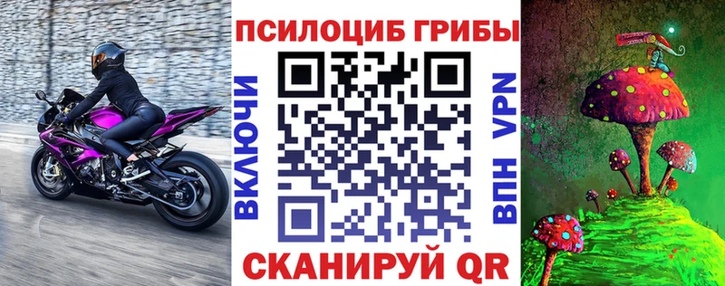 даркнет Telegram  Тбилисская  Галлюциногенные грибы MAGIC MUSHROOMS 